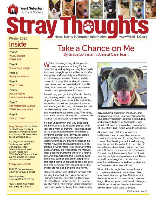 Stray Thoughts 2020 Volume 1 Winter 2020 Newsletter_Digital