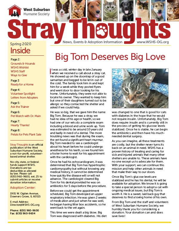 Stray Thoughts 2020 Volume 2 Spring 2020 Newsletter_Digital