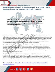 Food and Beverages Industry Report