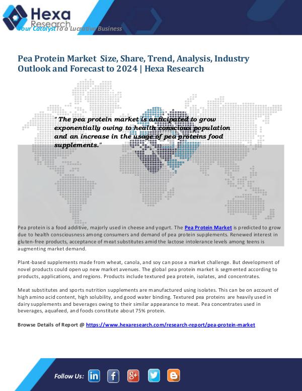 Pea Protein Market Trends