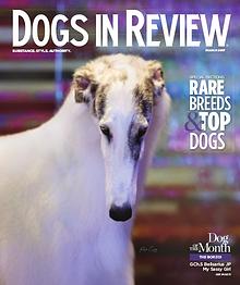 Dogs In Review Magazine