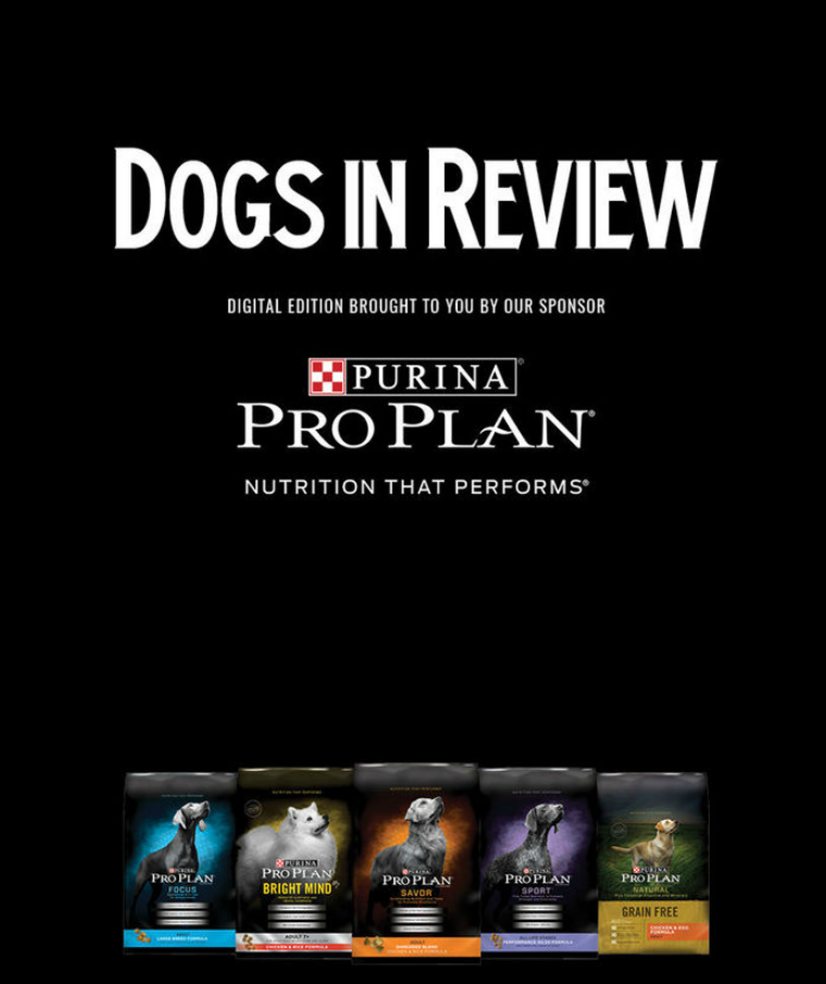 Dogs In Review Magazine Novemeber Issue