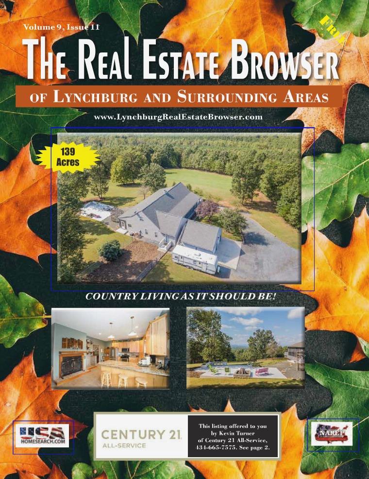 The Real Estate Browser Volume 9, Issue 11