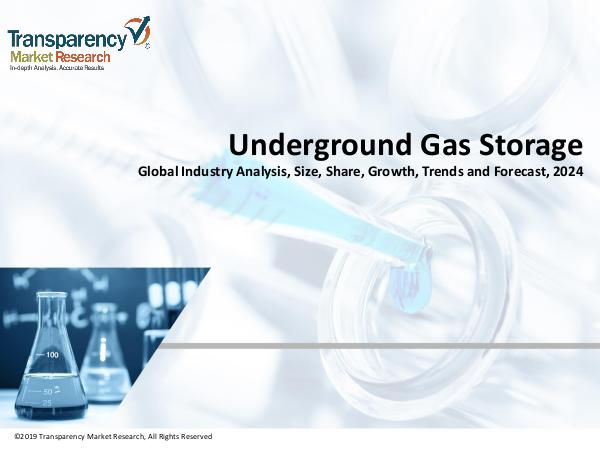 Market Research on Underground Gas Storage Market
