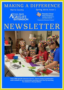 Making A Difference Newsletter, Issue 1, Volume 19 (Spring, Mar 2019)