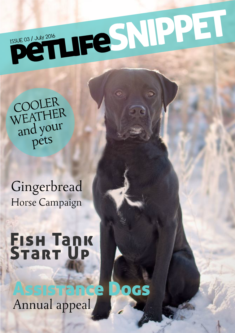 Pet Life SnipPET, New Zealand Issue 3 : July 2016