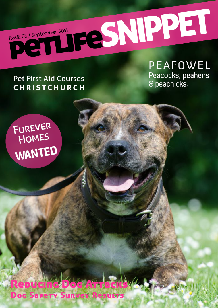 Pet Life SnipPET, New Zealand Issue 5 : September 2016