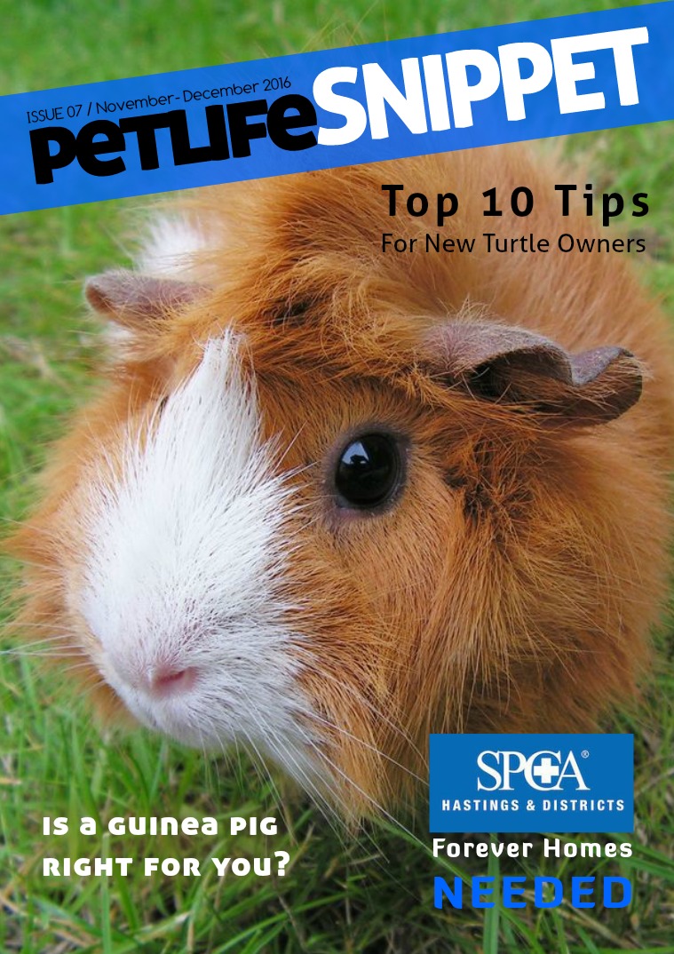 Pet Life SnipPET, New Zealand Issue 7 : November/December 2016