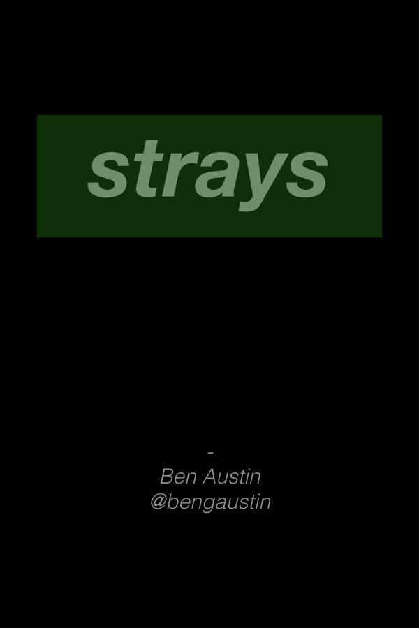 Strays BMX Strays 2