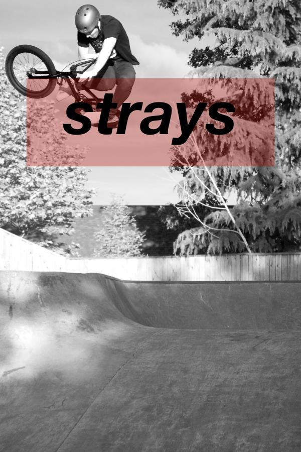 Strays BMX Strays 3