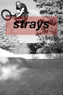 Strays BMX
