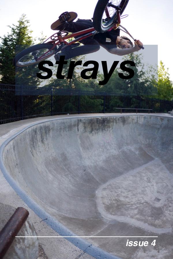 Strays BMX Strays 4