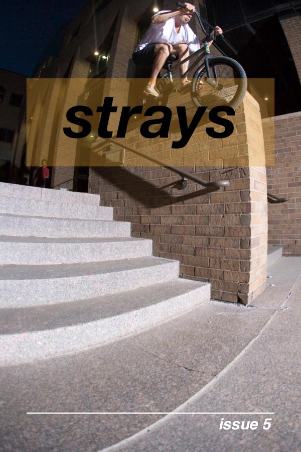 Strays BMX Strays 5
