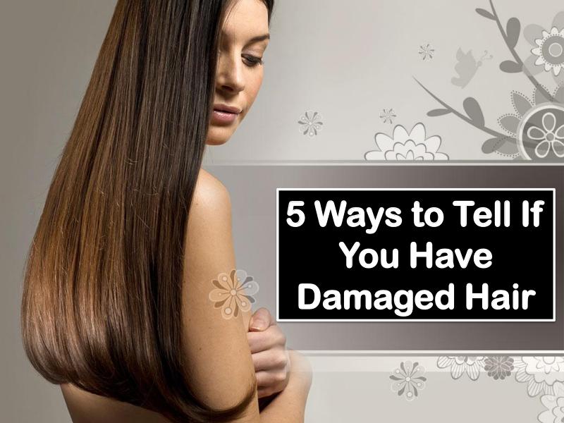 5 Ways to Tell If You Have Damaged Hair 5 Ways to Tell If You Have Damaged Hair