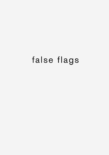 false flags 2013