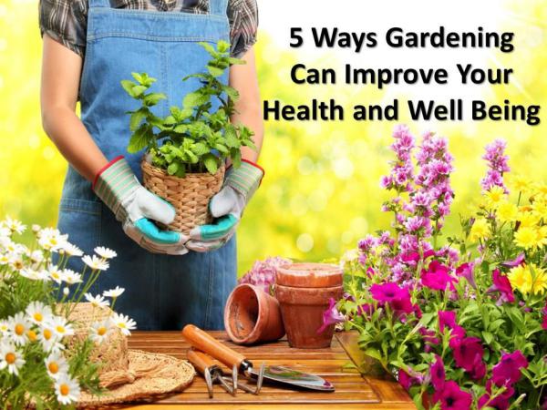 5 Ways Gardening Can Improve Your Health and Well Being 5 Ways Gardening Can Improve Your Health