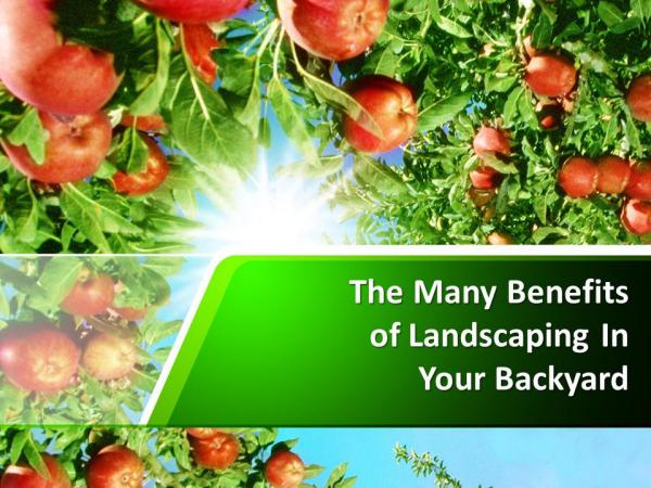 The Many Benefits of Landscaping In Your Backyard The Many Benefits of Landscaping In Your Backyard