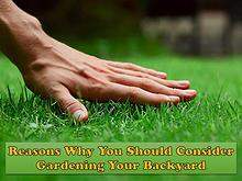 Reasons Why You Should Consider Gardening Your Backyard