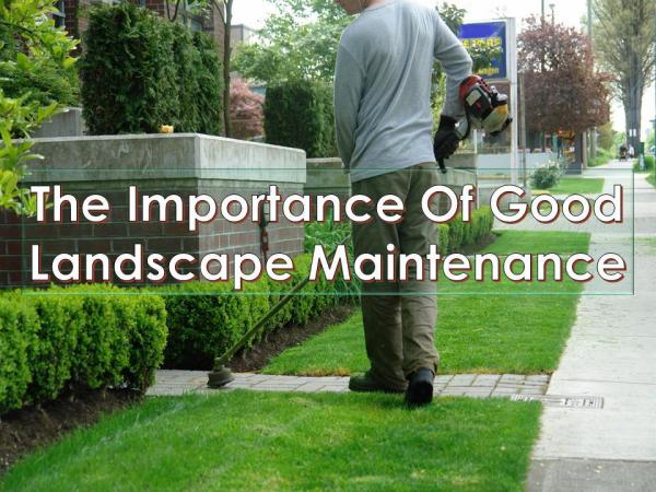 The Importance Of Good Landscape Maintenance The Importance Of Good Landscape Maintenance