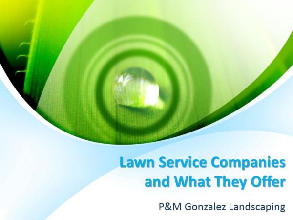 Lawn service companies and what they offer Lawn service companies and what they offer