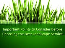 Points to Consider Before Choosing the Best Landscape Service