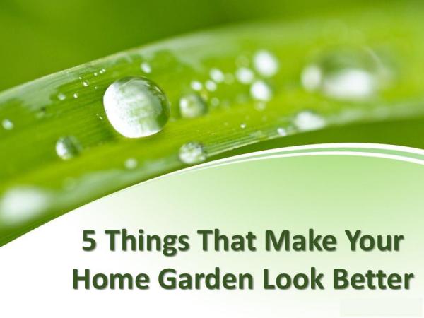 5 things that make your home garden look better 5 things that make your home garden look better