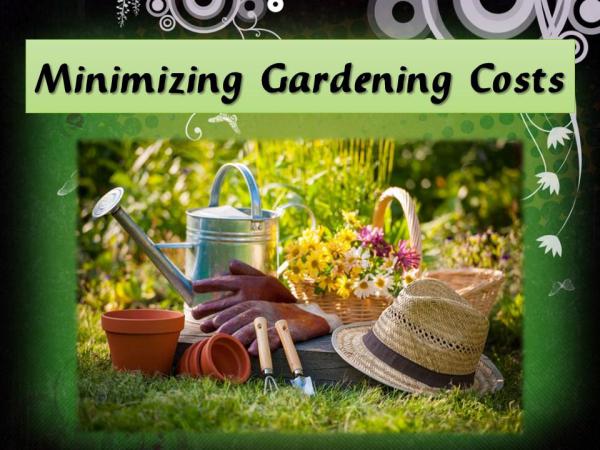 Minimizing Gardening Costs Minimizing Gardening Costs