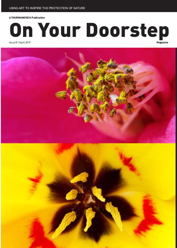 On Your Doorstep Issue 8