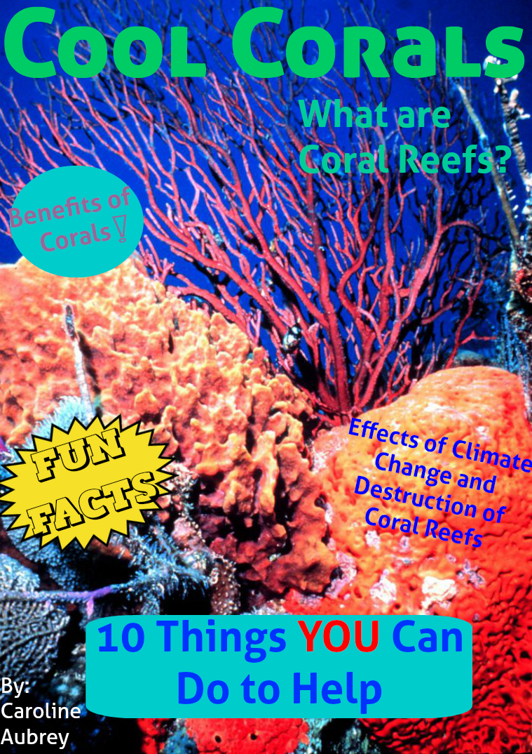 Coral Reef Destruction 1