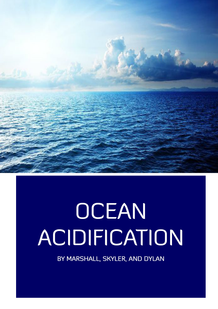 Ocean Acidification Environmental Science