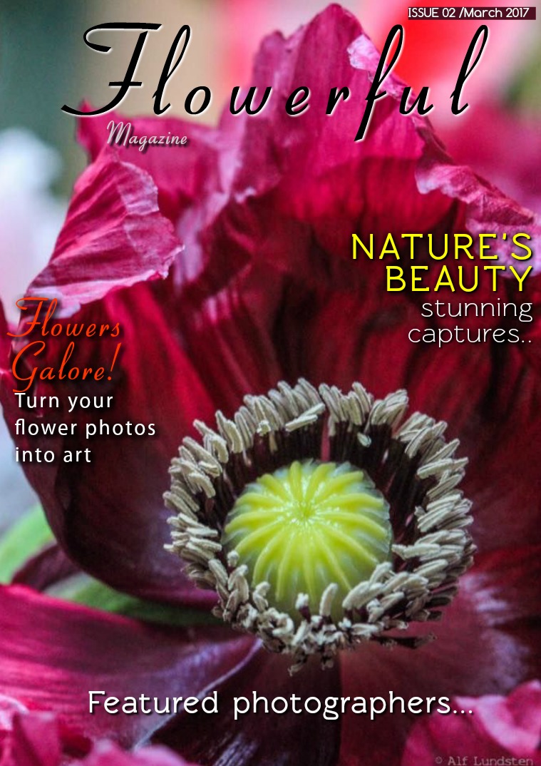 Flowerful Magazine Mar 2017