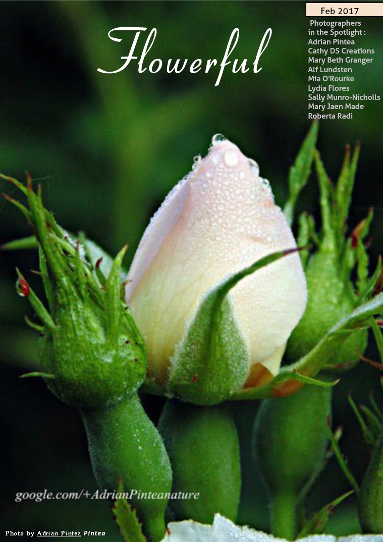 Flowerful Magazine Feb 2017