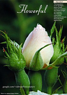 Flowerful Magazine
