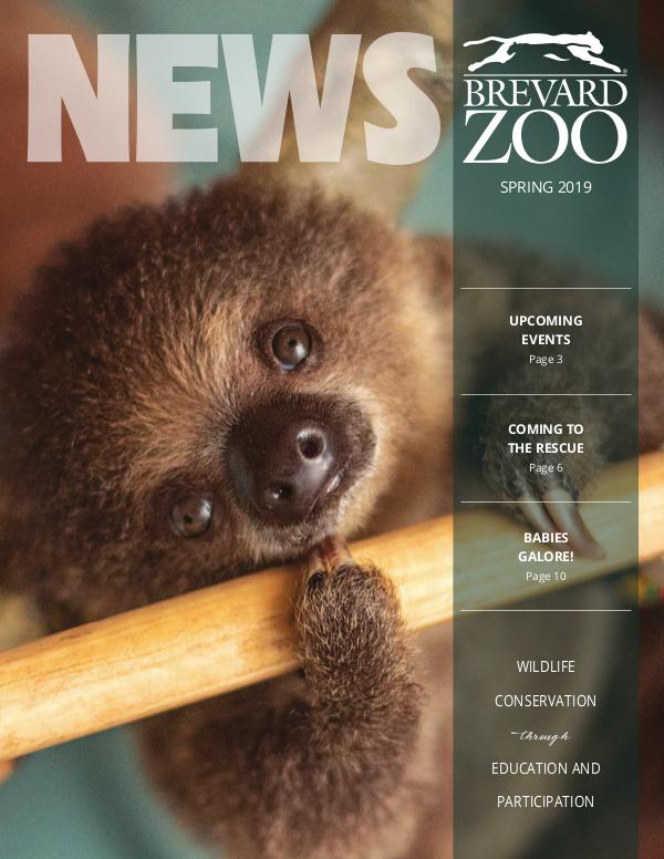 Brevard Zoo Membership Newsletter Spring 2019