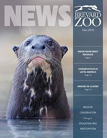 Brevard Zoo Membership Newsletter