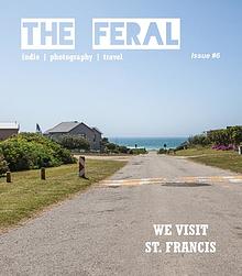 The Feral Magazine