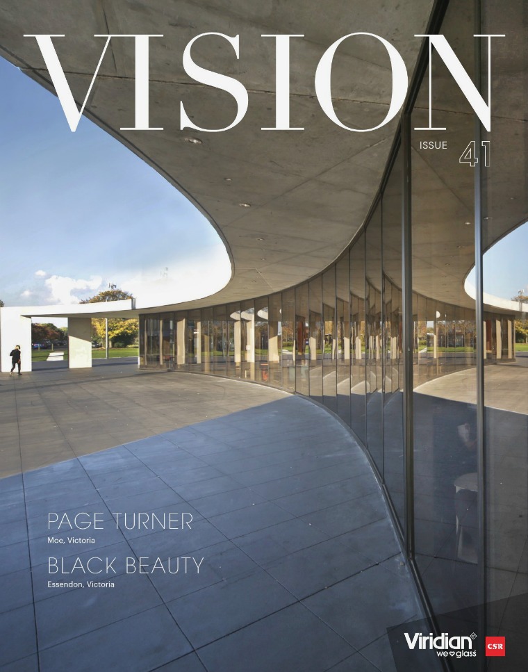 VISION Issue 41