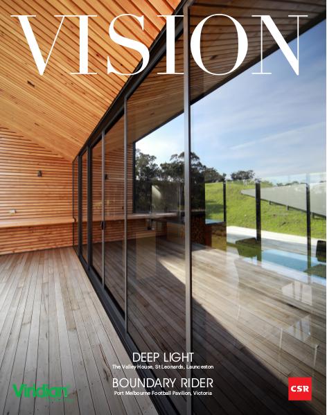 VISION Issue 25