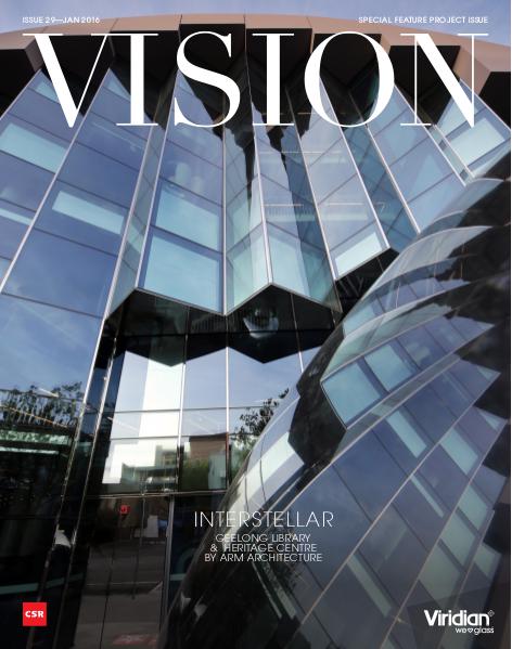 VISION Issue 29