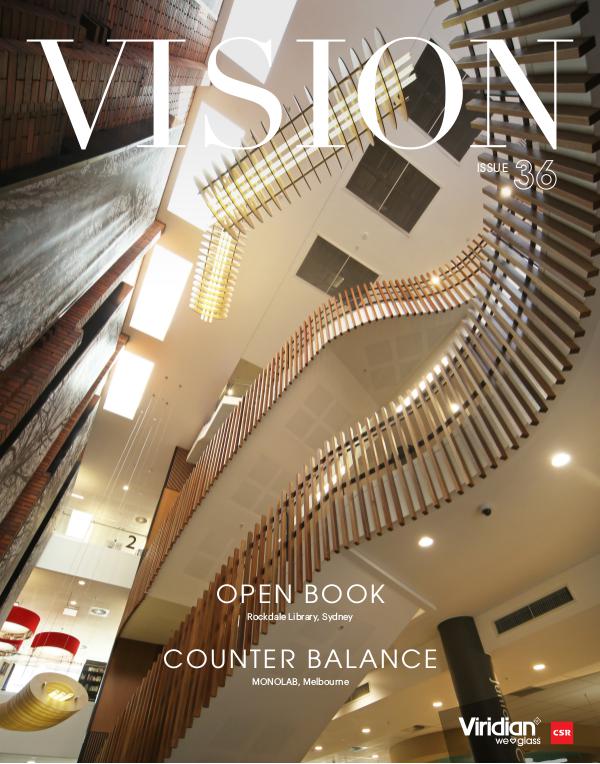 VISION Issue 36