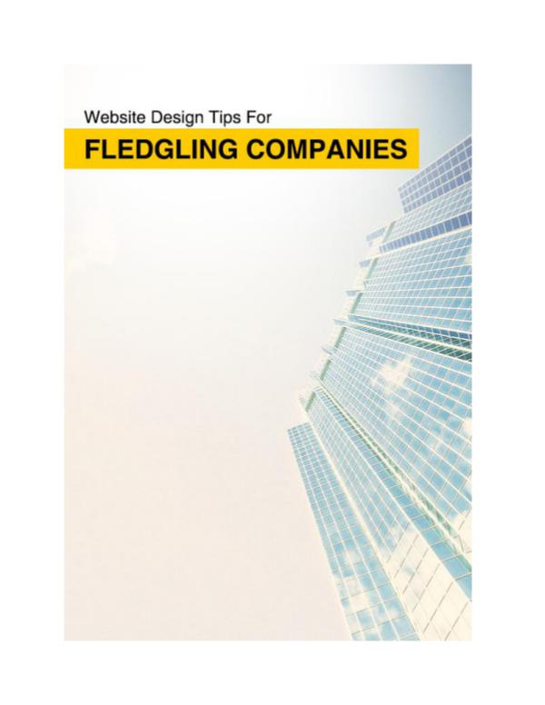 Website Design Tips For Fledgling Companies Website Design Tips For Fledgling Companies