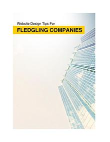 Website Design Tips For Fledgling Companies