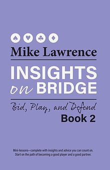 Insights on Bridge 2 (excerpt)