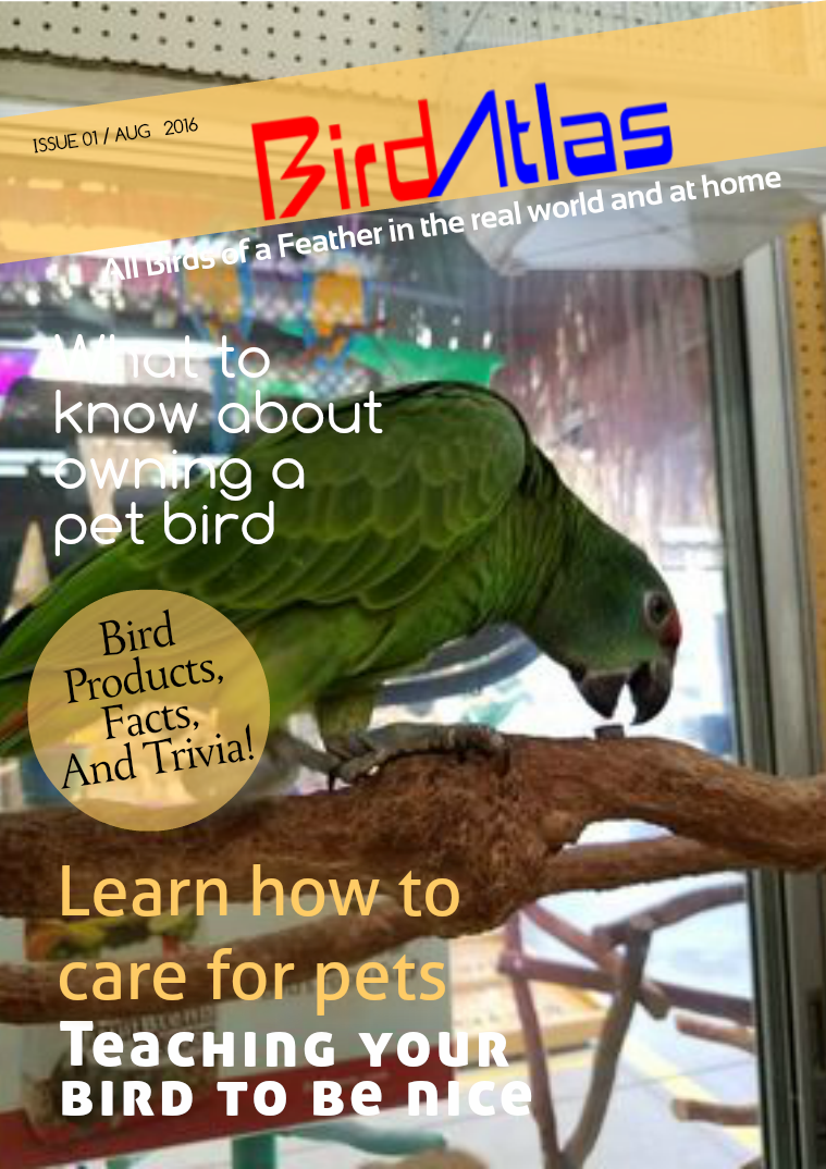 BirdAtlas Issue #1 Issue 1