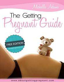 The Getting Pregnant Plan Guide Free Report