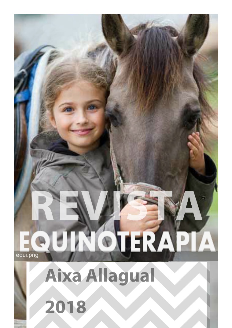 La Equinoterapia Terapia de caballos