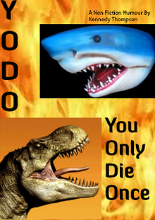 YODO; You Only Die Once
