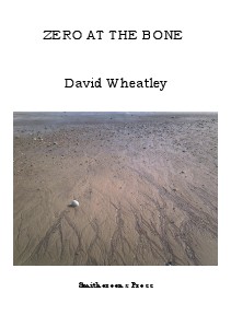 'Zero at the Bone' by David Wheatley