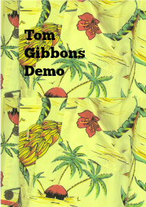 Tom Gibbons second try Vol 1 Aug. 2013