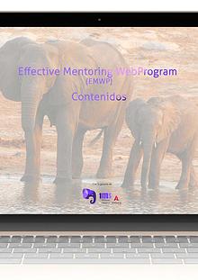 Contenidos de los módulos del programa de mentoring EMWP